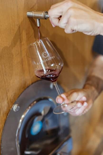 Montalcino: Wine Tasting and Tuscan Lunch - Key points to know before booking