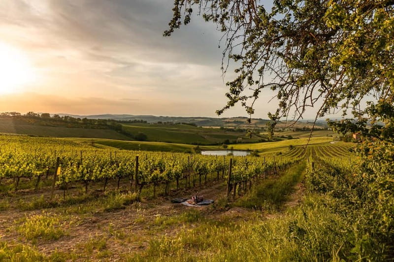 Montalcino: Wine Tasting and Tuscan Lunch - Meeting Giani in the renovated cellar