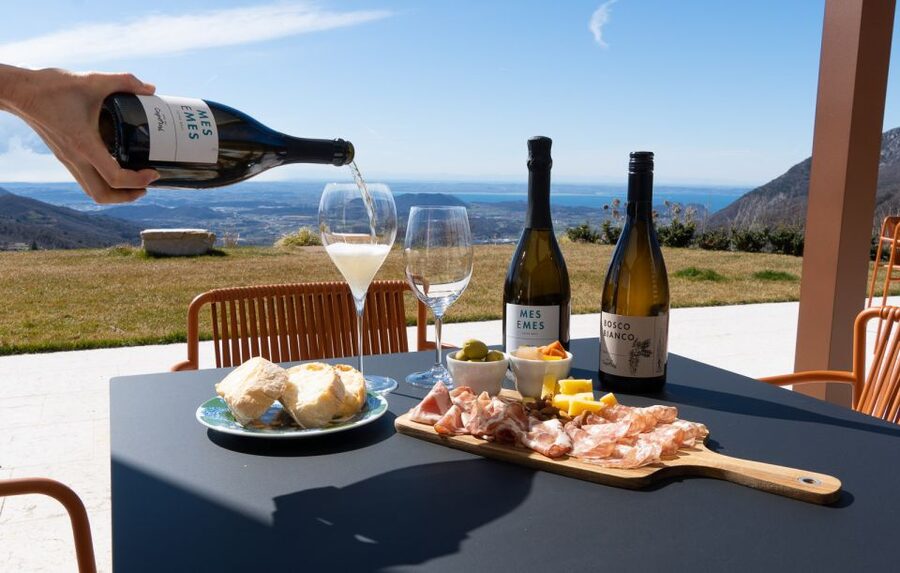 Monte Baldo: Organic Mountain Wines Tour and Tasting - Practical details before you reserve