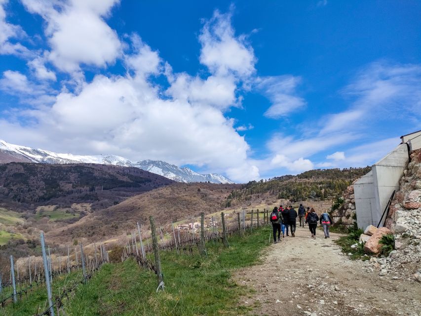 Monte Baldo: Organic Mountain Wines Tour and Tasting - Four wines with four different personalities