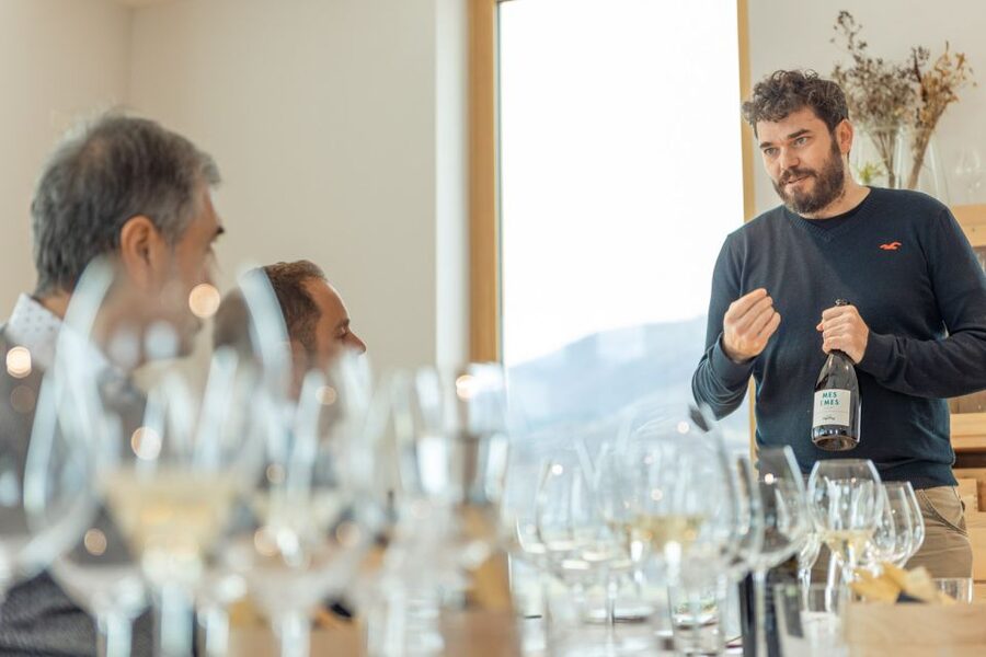 Monte Baldo: Organic Mountain Wines Tour and Tasting - The view is part of the value