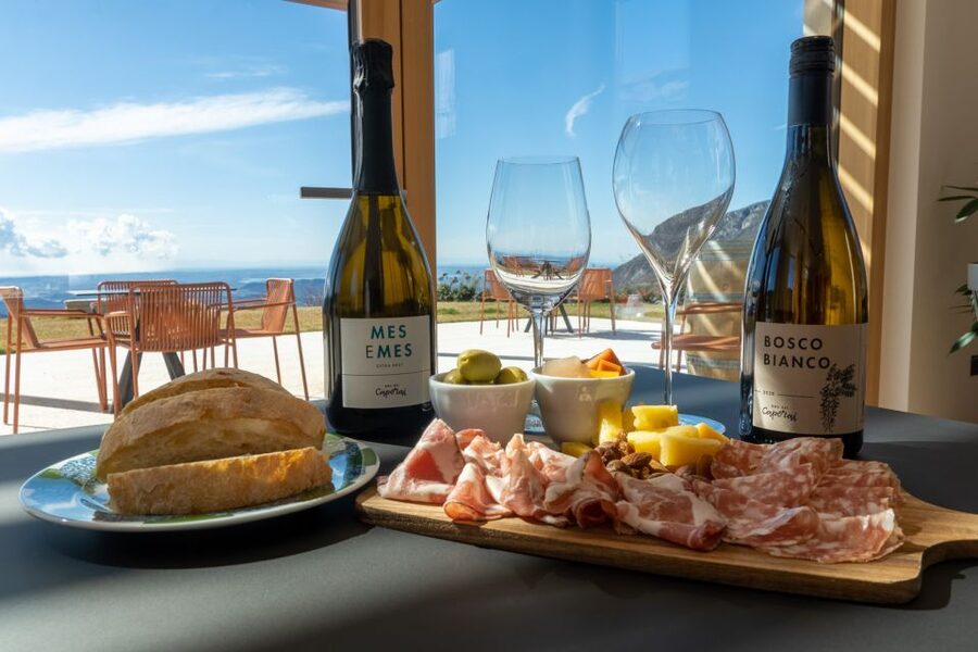 Monte Baldo: Organic Mountain Wines Tour and Tasting - Getting there matters more than the booking page suggests