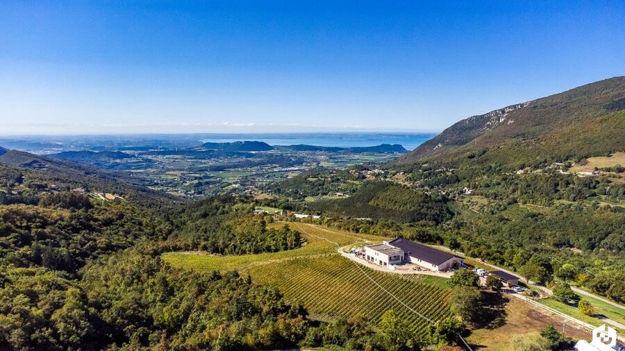Monte Baldo: Organic Mountain Wines Tour and Tasting - A relaxed alternative to a crowded Lake Garda stop