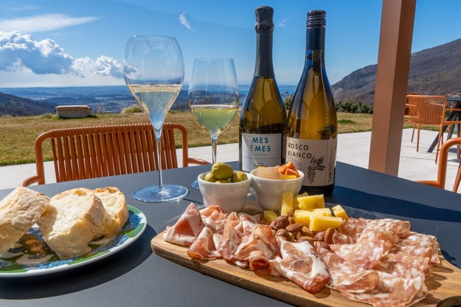 Monte Baldo: Organic Mountain Wines Tour and Tasting - Walking through the vines and cellar