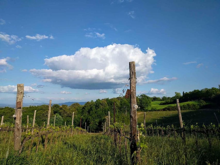 Montepulciano: Artisan Heroic Wine Tasting at the Terrace - Three wines and a very generous tagliere