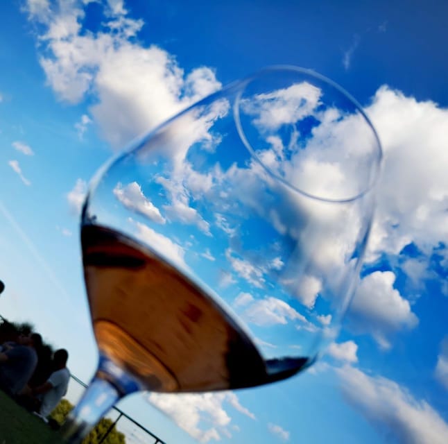 Montepulciano: Artisan Heroic Wine Tasting at the Terrace - Who will get the most from this tasting