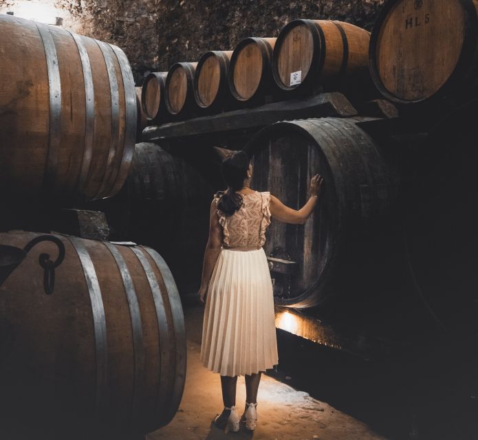 Montepulciano: Historical Cellars Guided Tour & Wine Tasting - Walking below the streets into two historic cellars