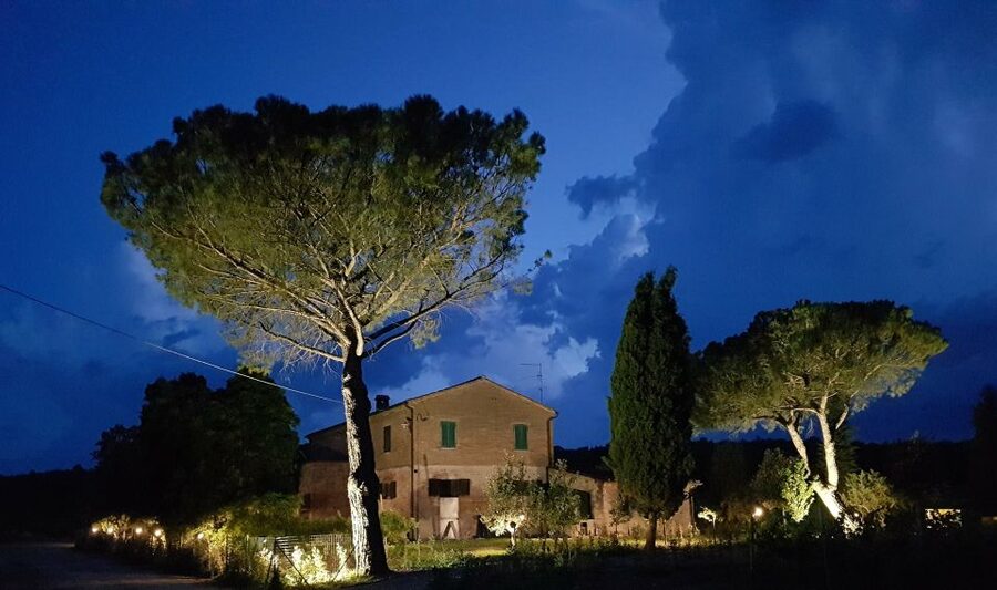 Montepulciano: Tuscan Winery Tour with Wine Tasting & Meal - Price: is $112.15 fair?