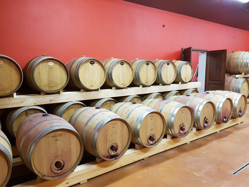 Montepulciano: Tuscan Winery Tour with Wine Tasting & Meal - One hour in the cellar