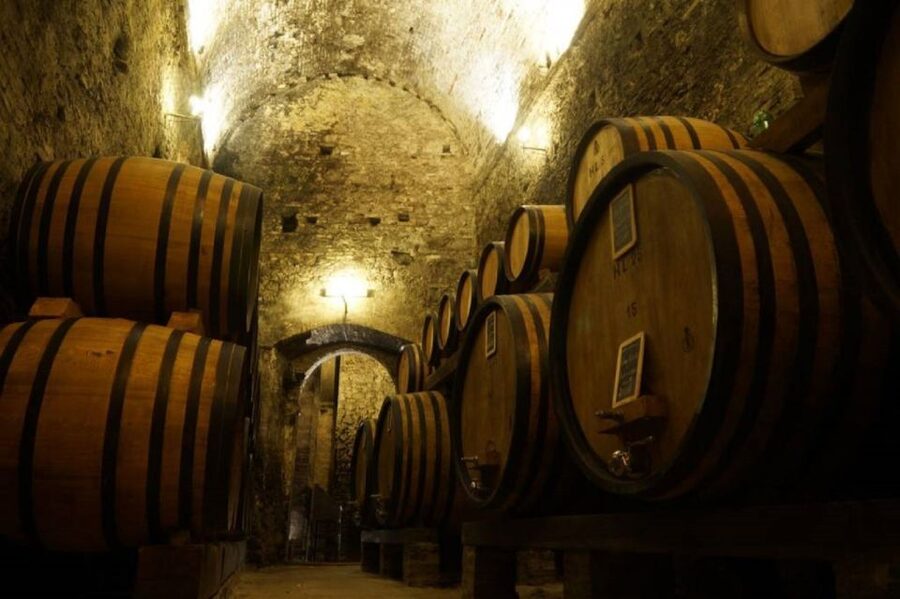 Montepulciano: Wine Tasting and Cellar Tour - Why the underground cellar matters