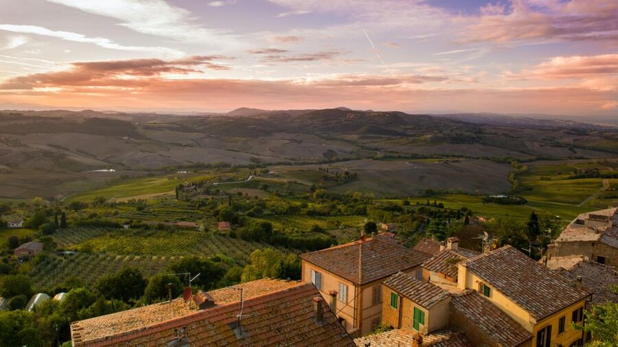 Montepulciano: Winery Tour and Tasting - Meeting Luigi, Hector, or Flavio