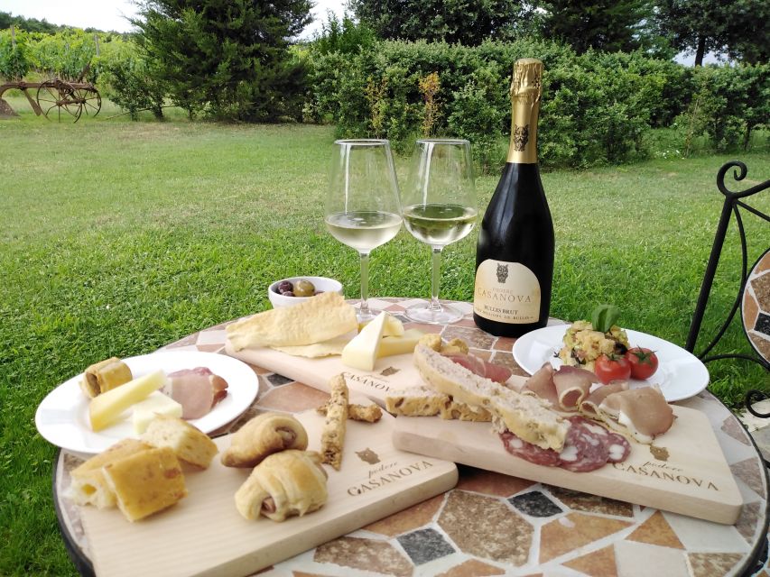 Montepulciano: Winery Tour, Tasting, and Vineyard Picnic - Inside the winery and cellar