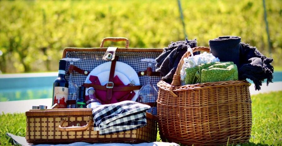 Montepulciano: Winery Tour, Tasting, and Vineyard Picnic - Is the $105 price worth it?