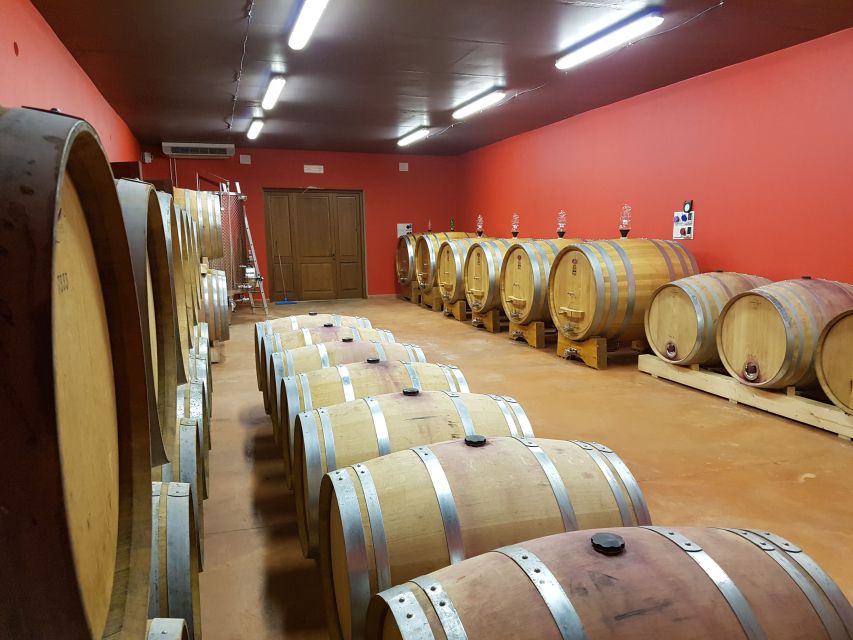 Montepulciano: Winery Tour, Tasting, and Vineyard Picnic - Arriving at Podere Casanova Montepulciano