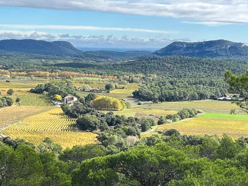 Montpellier: Pic Saint-Loup Wine Tour - Who will enjoy this outing most
