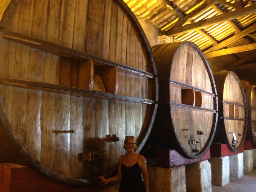 Montpellier Wine and Oyster Tour - From Montpellier to the Thau Lagoon