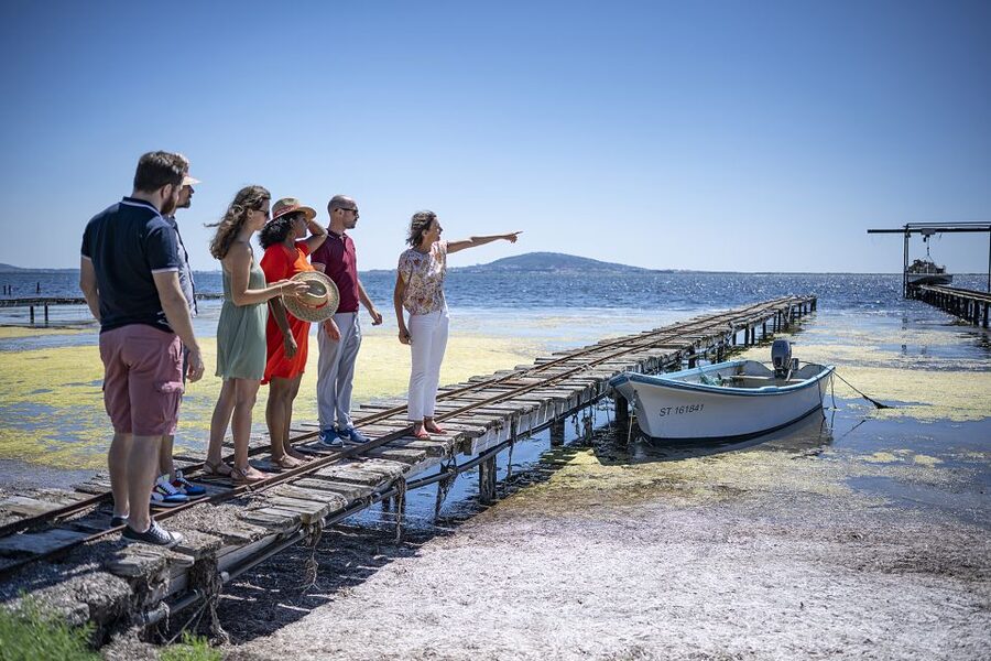 Montpellier Wine and Oyster Tour - Is $106 good value?