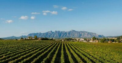 Montserrat & Cava Wineries Day Trip from Barcelona w/ Pickup