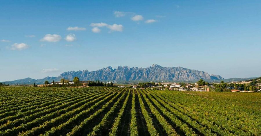 Montserrat & Cava Wineries Day Trip from Barcelona w/ Pickup - Arriving at Montserrat Monastery