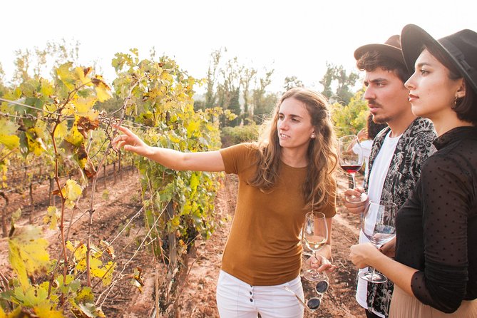 Montserrat & Cogwheel Train, Gourmet Wine Tasting & Tapas/Lunch - Oller del Mas and the castle winery