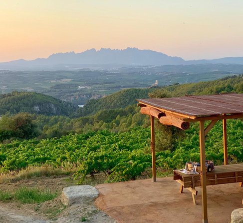 Montserrat Private Day Trip with Codorniu Cava Cellar Tasting - What the $343.60 price really buys
