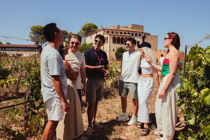 Montserrat Tour with Winery Lunch & Exclusive Cellar Experience - Three organic wines, then a private cellar option