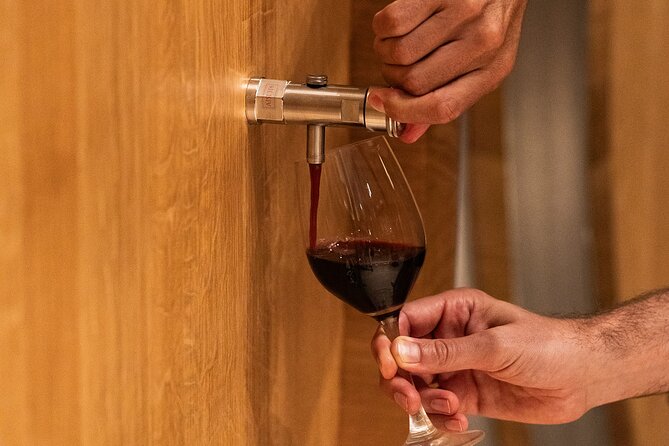 Montserrat Tour with Winery Lunch & Exclusive Cellar Experience - Who should book this Montserrat and winery day