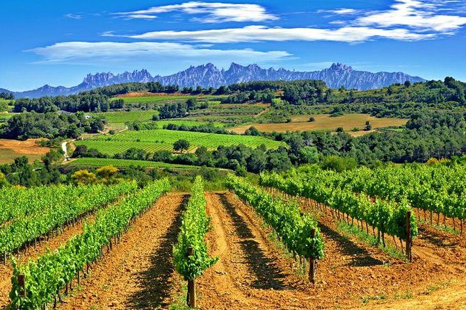 Montserrat,Vineyard, Wine Tasting Small Group Tour & Hotel Pickup - From sacred mountain to Penedès vineyards