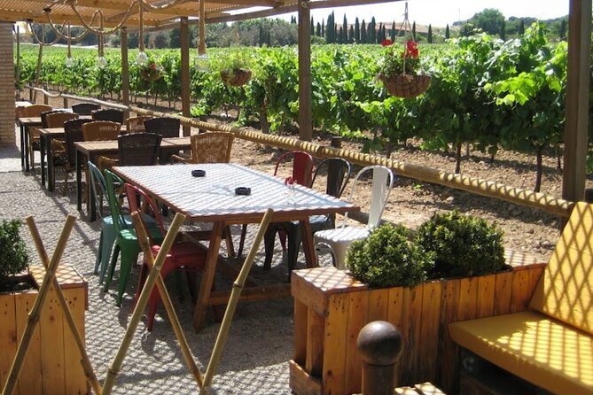 Montserrat & Winery Visit Tour with Traditional Farmhouse Lunch - Meeting at the Palau de la Música