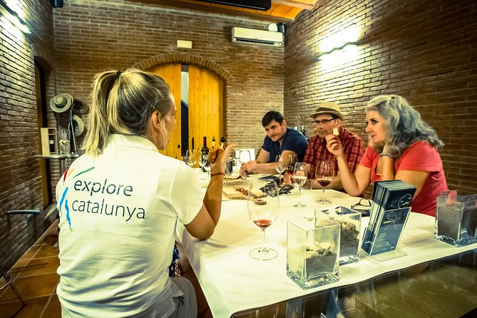 Montserrat & Winery Visit Tour with Traditional Farmhouse Lunch - The basilica and Black Madonna ticket issue