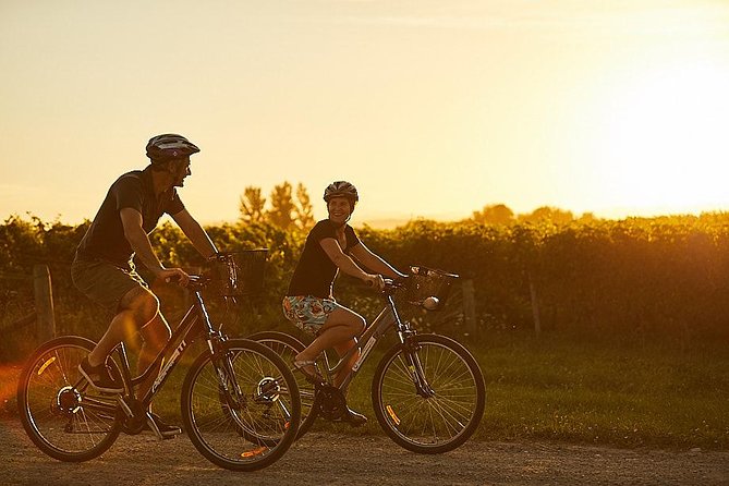 Morning Guided with Afternoon Self-Guided Biking Wine Tour - Who will get the most from this tour
