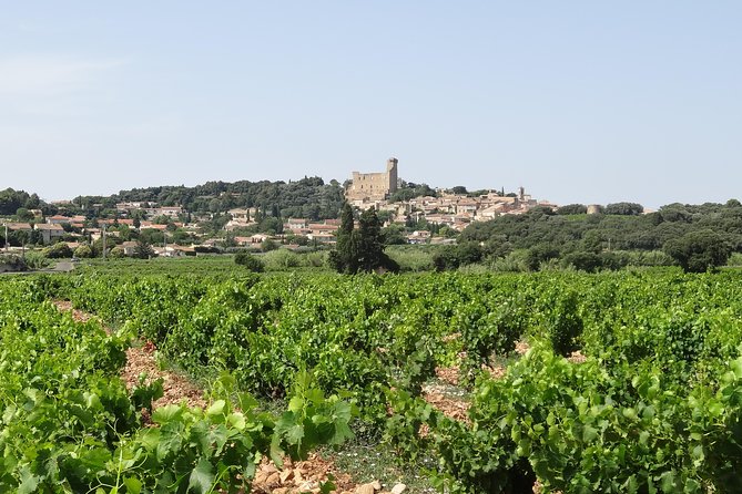 Morning Wine Tour to Chateauneuf du Pape from Avignon - The hilltop view of Châteauneuf-du-Pape