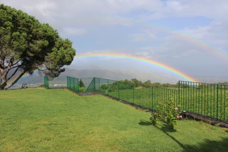 Mount Etna: Winery Tour and Tasting - The setting, staff, and service
