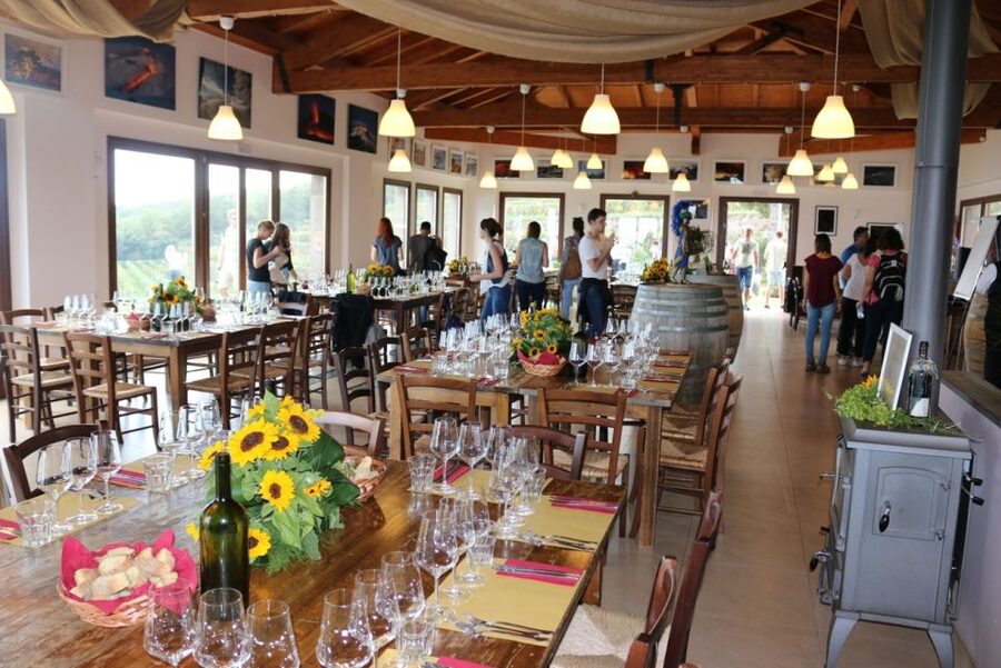 Mount Etna: Winery Tour and Tasting - The welcome glass and the winery presentation