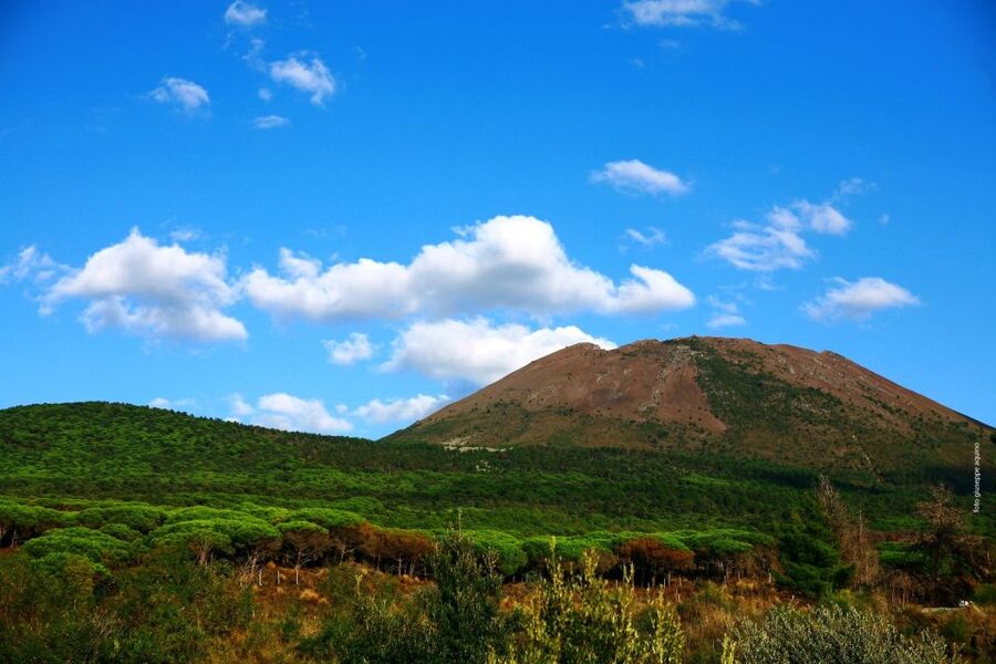 Mount Vesuvius 4-Hour Volcano Tour with Wine Tasting - Choosing the Crater Path
