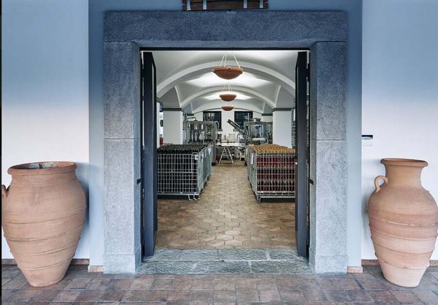 Mount Vesuvius: Vineyard Tour with Wine Tasting and Lunch - Lunch is the real centerpiece