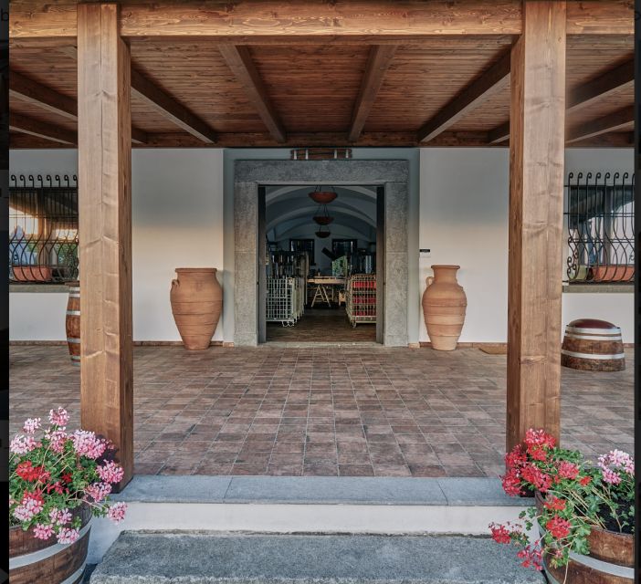 Mount Vesuvius: Vineyard Tour with Wine Tasting and Lunch - The price and what you really receive