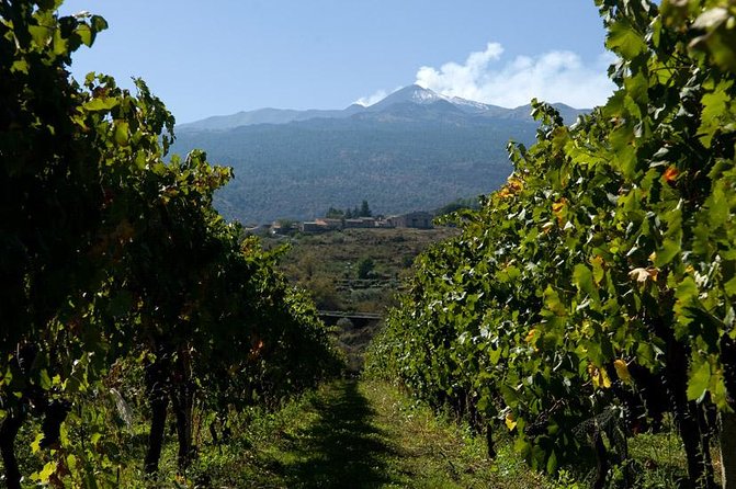 Mt Etna and Wine tasting tour from Catania - Inside Grotta dei Tre Livelli