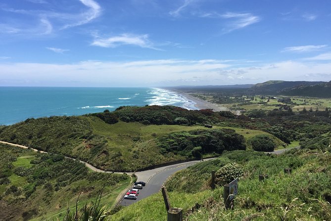 Muriwai Scenic Wine Tour from Auckland - Soljans Estate and the character of family wine