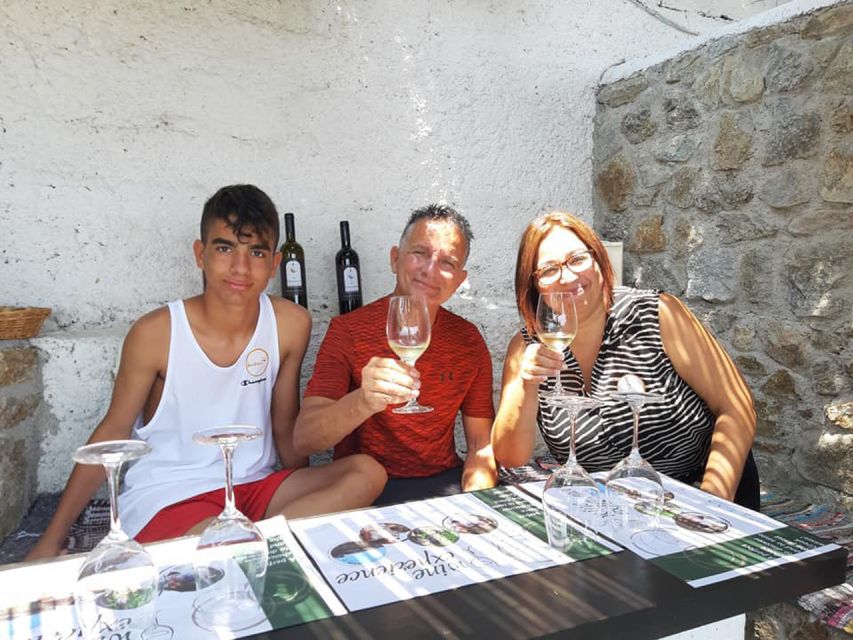 Mykonos: Wine Tasting at a Mykonian Farm - Key points to know before booking