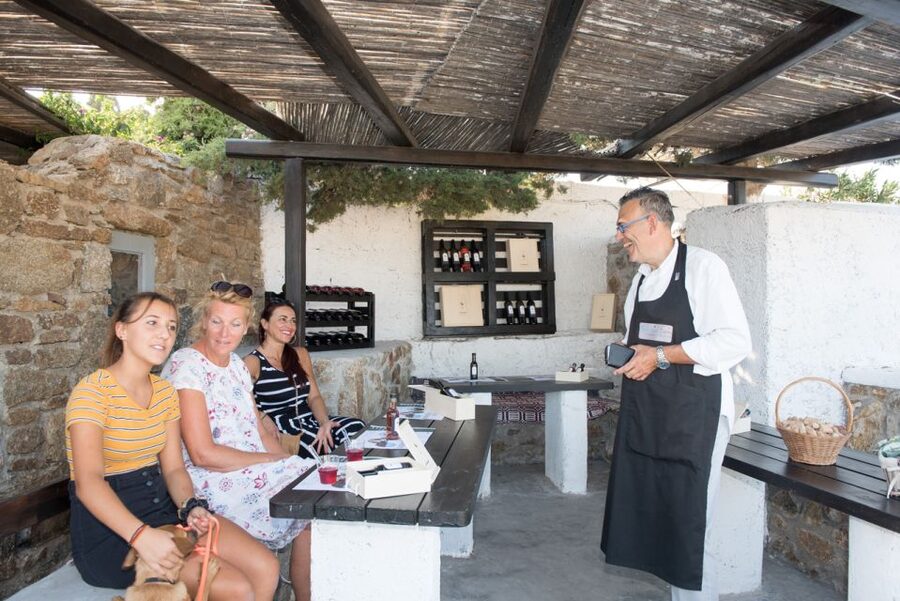 Mykonos: Wine Tasting at a Mykonian Farm - Leaving Hora for the Mykonian countryside
