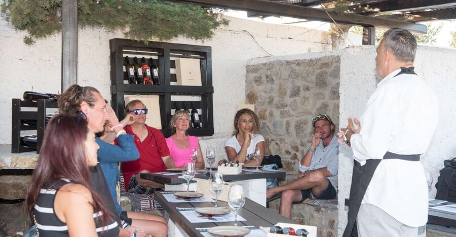 Mykonos: Wine Tasting at a Mykonian Farm - What the $88 price includes