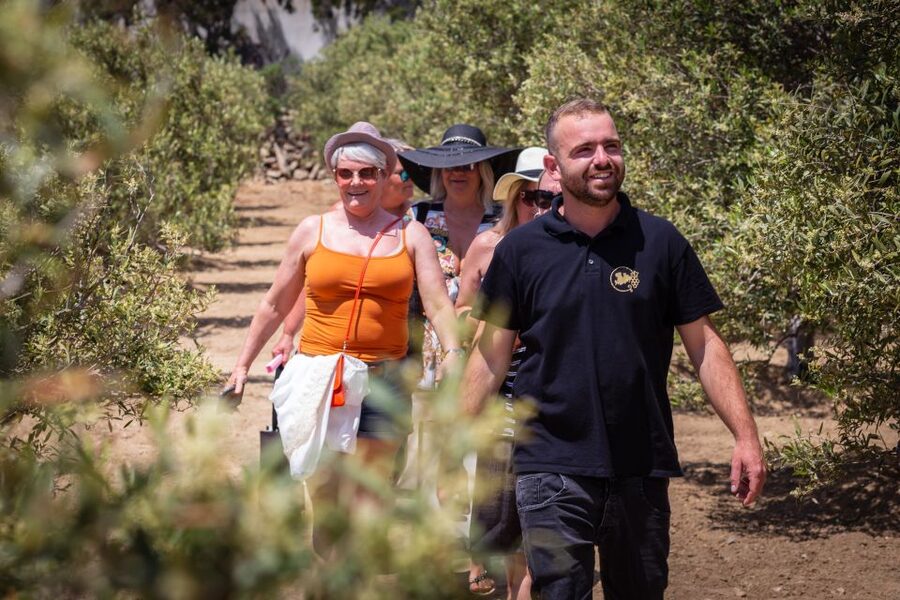 Mykonos: Winery Vineyard Experience with Food & Wine Tasting - The wine tasting: organic wines with a local setting