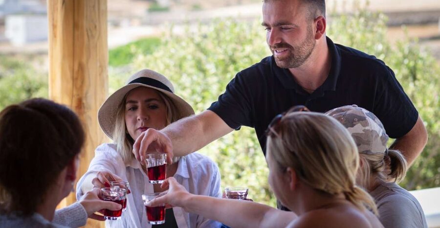 Mykonos: Winery Vineyard Experience with Food & Wine Tasting - Walking through the olive grove and vineyard