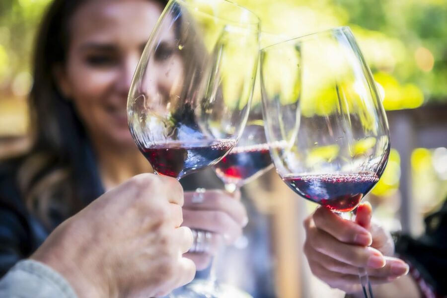 Napa Valley: Guided Wine Tour with Picnic Lunch - A seven-hour route with room to breathe