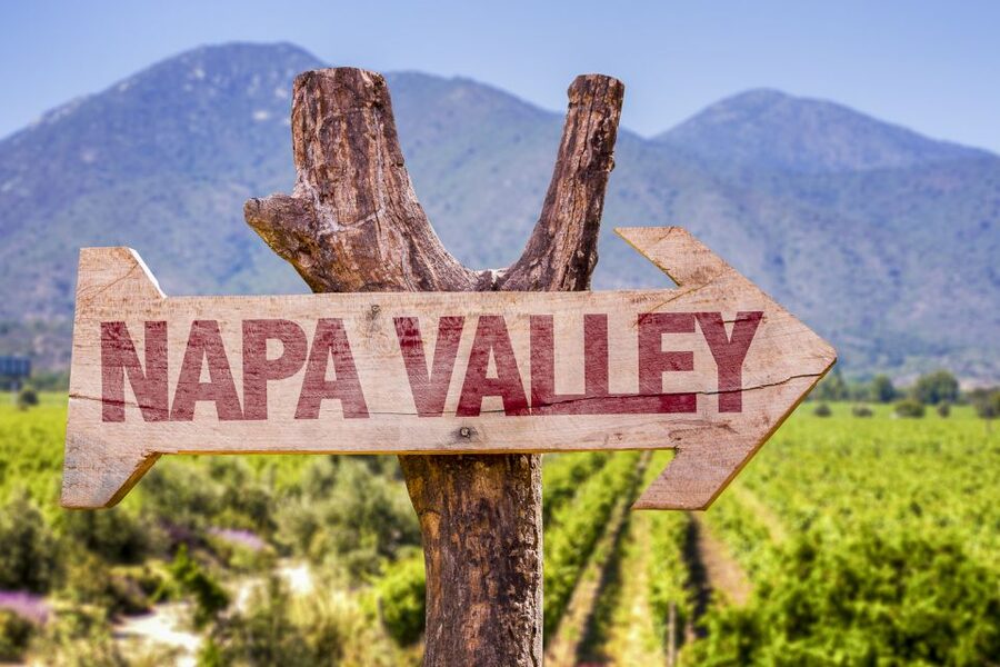 Napa Valley: Guided Wine Tour with Picnic Lunch - Meeting guides who make the valley easier to understand
