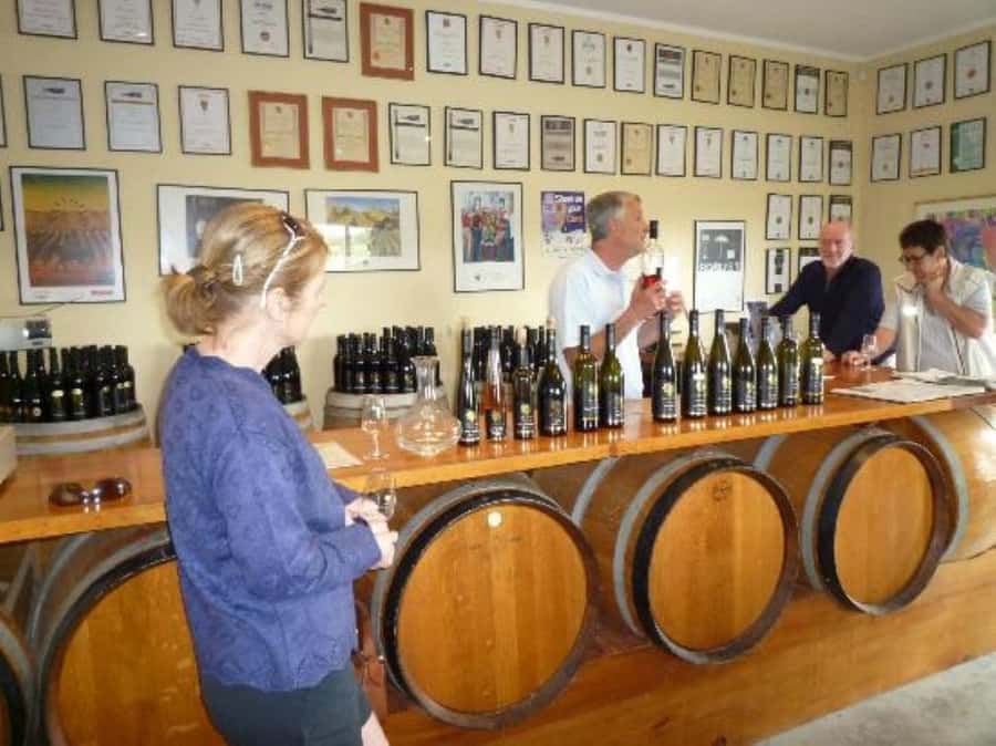 Napier: Afternoon Winery Tour Tasting at 3 Great Wineries - Oak Avenue and the road between tastings