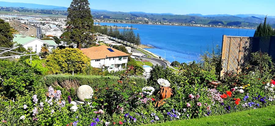 Napier: Art-Deco + Te Mata Peak+ Garden Walk + Wine Tasting - Why this Napier shore tour works well