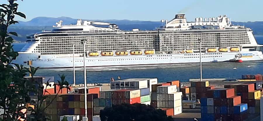 Napier: Art-Deco + Te Mata Peak+ Garden Walk + Wine Tasting - Bluff Hill and the ship below