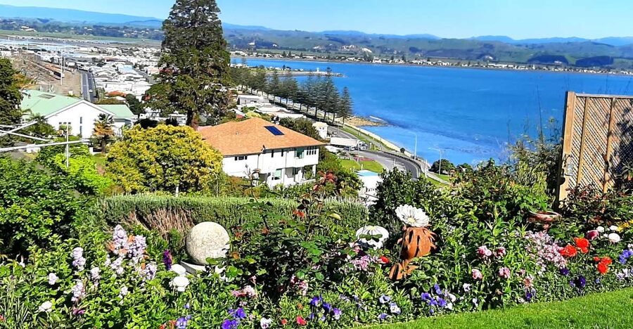 Napier: Art-Deco + Te Mata Peak+ Garden Walk + Wine Tasting - What the transport is like
